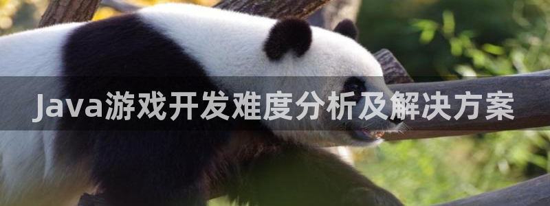 沐鸣娱乐注册平台：Java游戏开发难度分
