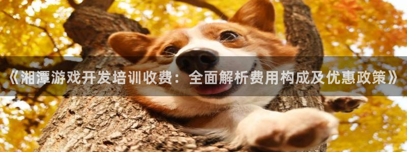沐鸣娱乐官方网站首页：《湘潭游戏开发培训