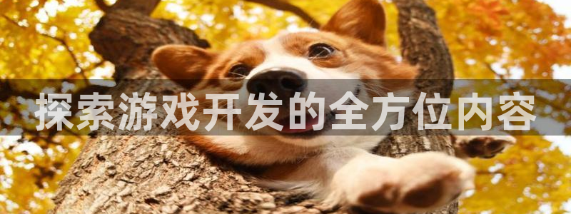 沐鸣在线登录：探索游戏开发的全方位内容