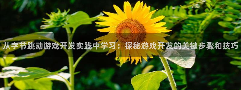 沐鸣科技有哪些产品啊：从字节跳动游戏开发