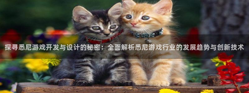 沐鸣平台主管：探寻悉尼游戏开发与设计的秘