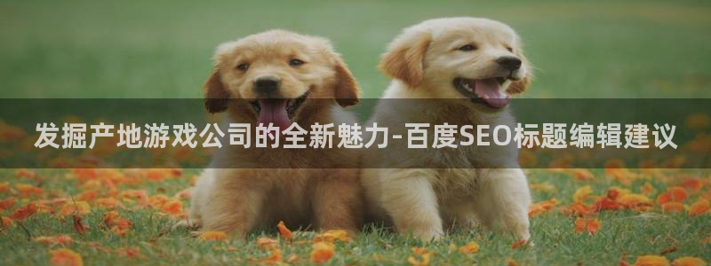 沐鸣娱乐注册平台有哪些：发掘产地游戏公司