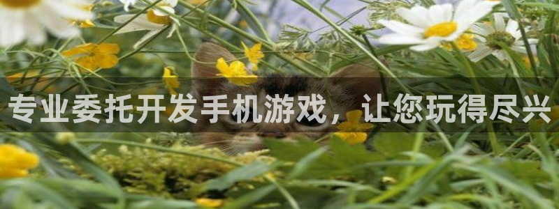 沐鸣平台主管：专业委托开发手机游戏，让您