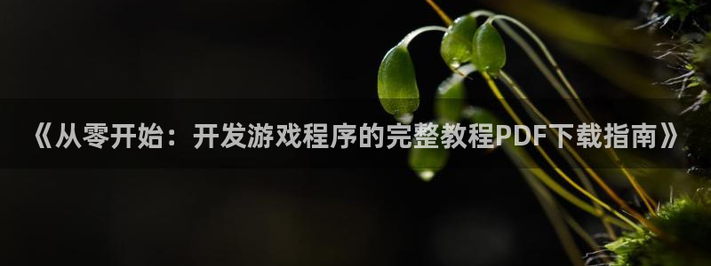 沐鸣4代理：《从零开始：开发游戏程序的完
