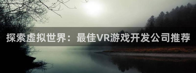 沐鸣平台总代理是谁：探索虚拟世界：最佳V