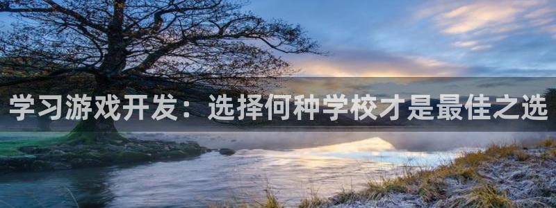 沐鸣娱乐是什么：学习游戏开发：选择何种学