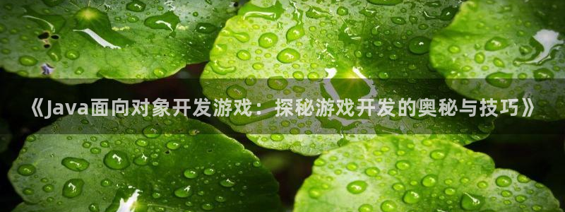 沐鸣科技做的游戏：《Java面向对象开发