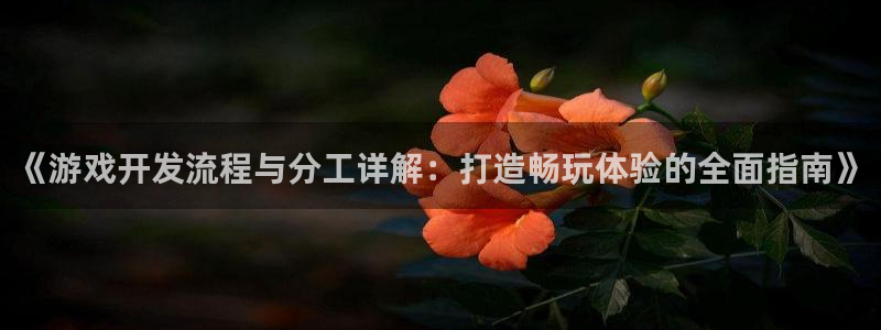 沐鸣平台主管：《游戏开发流程与分工详解：