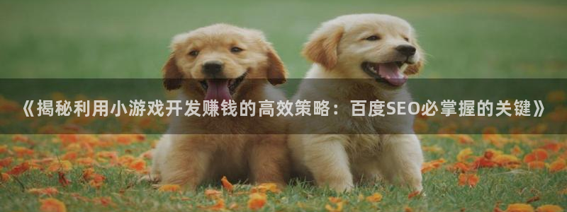 沐鸣娱乐股东：《揭秘利用小游戏开发赚钱的