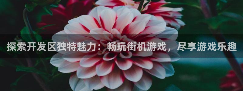 沐鸣网址注册：探索开发区独特魅力：畅玩街