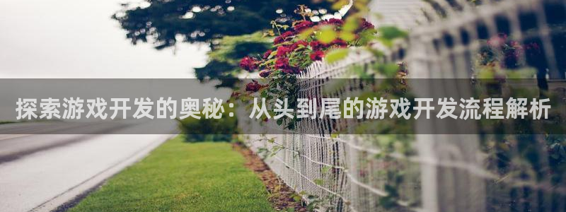 沐鸣注册账号：探索游戏开发的奥秘：从头到