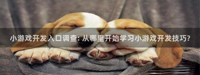 沐鸣娱乐账号怎么注册不了：小游戏开发入口
