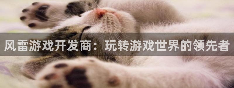 沐鸣平台app下载：风雷游戏开发商：玩转