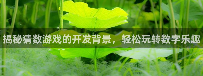 沐鸣代理登陆：揭秘猜数游戏的开发背景，轻