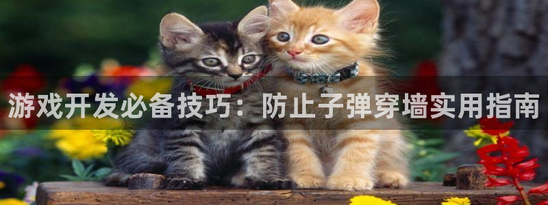 沐鸣4招商：游戏开发必备技巧：防止子弹穿