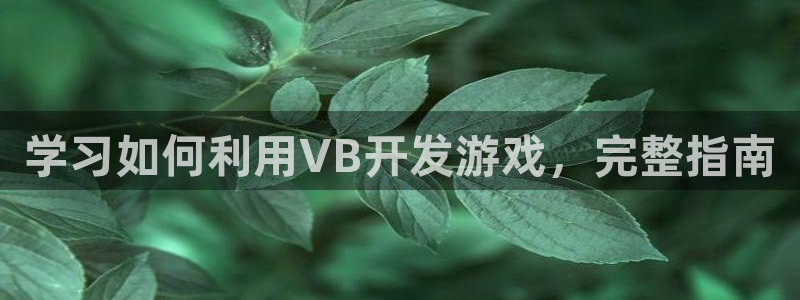 沐鸣平台主管：学习如何利用VB开发游戏，