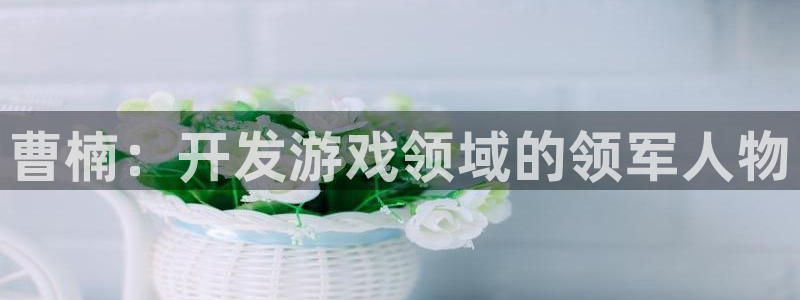 沐鸣4招商：曹楠：开发游戏领域的领军人物