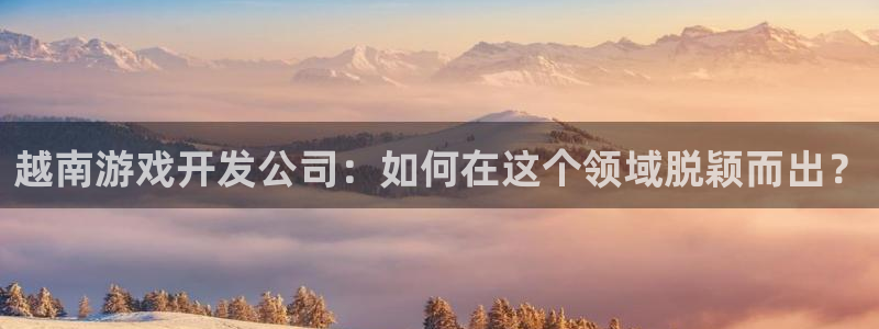 沐鸣娱乐平台登录网址：越南游戏开发公司：