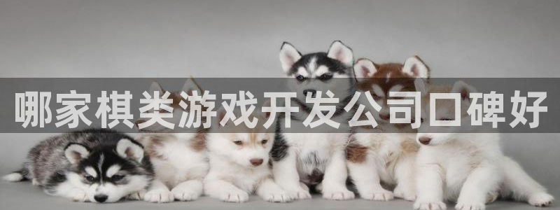沐鸣3注册登录：哪家棋类游戏开发公司口碑