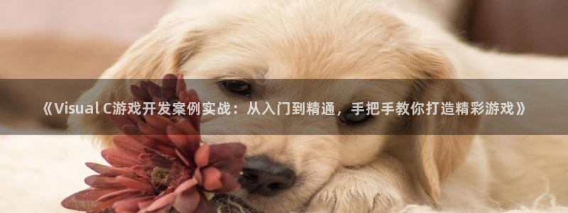 沐鸣娱乐llapp下载：《Visual 