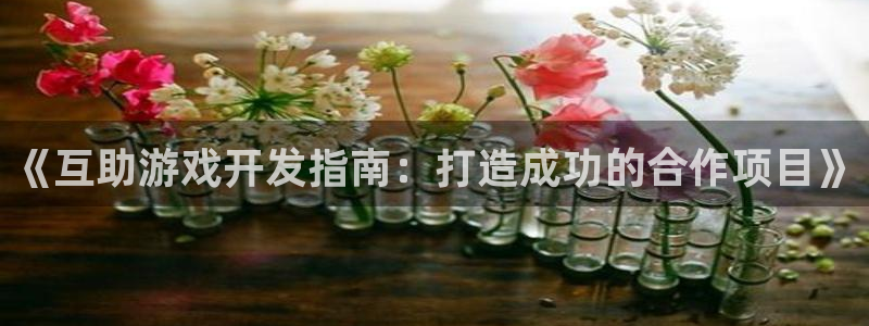沐鸣平台总代：《互助游戏开发指南：打造成