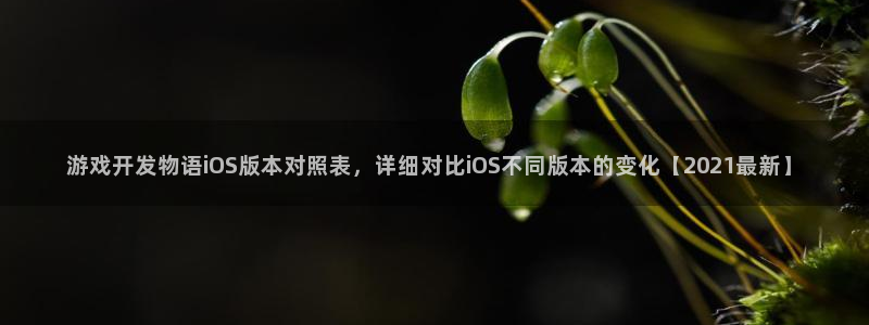 沐鸣3注册：游戏开发物语iOS版本对照表