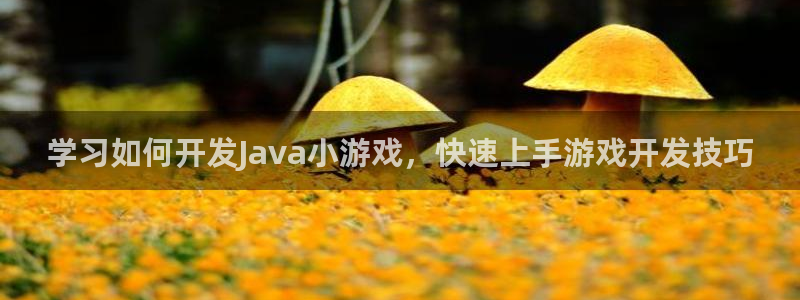 沐鸣总代~53866：学习如何开发Jav