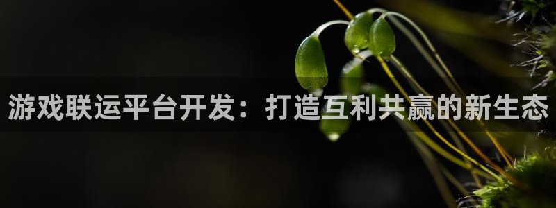 沐鸣娱乐游戏：游戏联运平台开发：打造互利