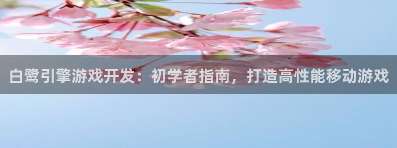 沐鸣娱乐平台怎么样啊：白鹭引擎游戏开发：
