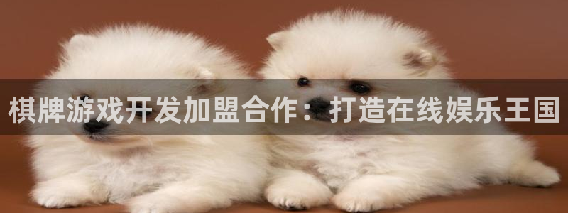 沐鸣注册登陆：棋牌游戏开发加盟合作：打造