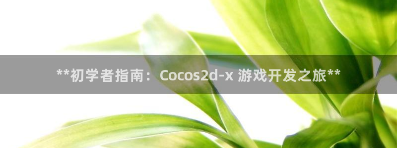沐鸣平台：**初学者指南：Cocos2d