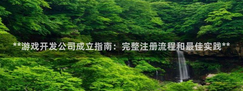 沐鸣平台总代理：**游戏开发公司成立指南