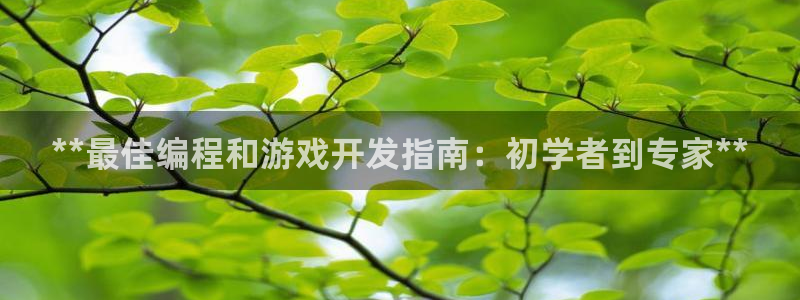 沐鸣注册官方登录app：**最佳编程和游