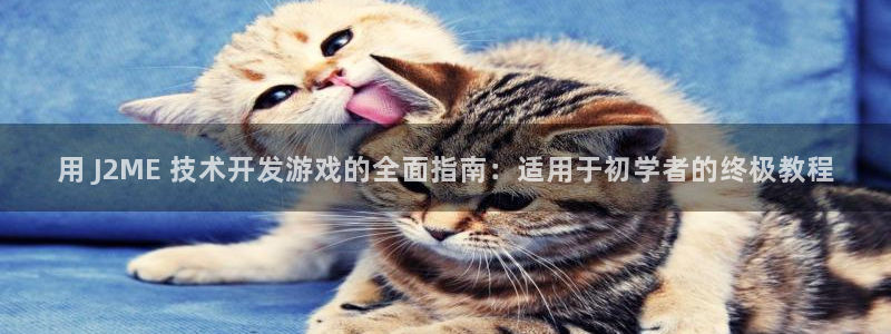 沐鸣平台代理注册多少钱一年啊：用 J2M