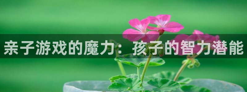 沐鸣代理登陆：亲子游戏的魔力：孩子的智力