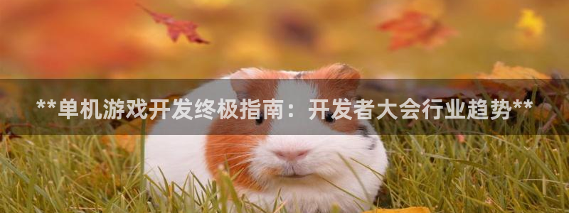 沐鸣娱乐平台怎么样啊：**单机游戏开发终