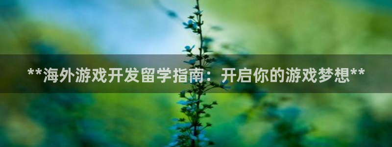 沐鸣平台代理注册多少钱：**海外游戏开发