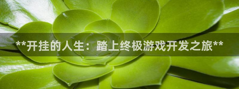 沐鸣4开户
