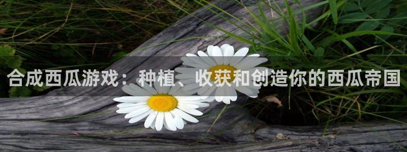 沐鸣娱乐官方网站下载