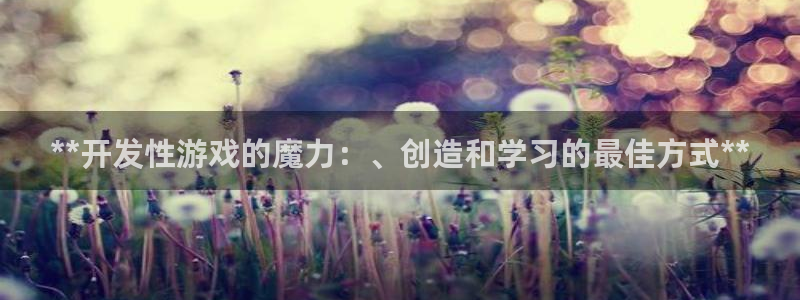 沐鸣娱乐注册网站：**开发性游戏的魔力：