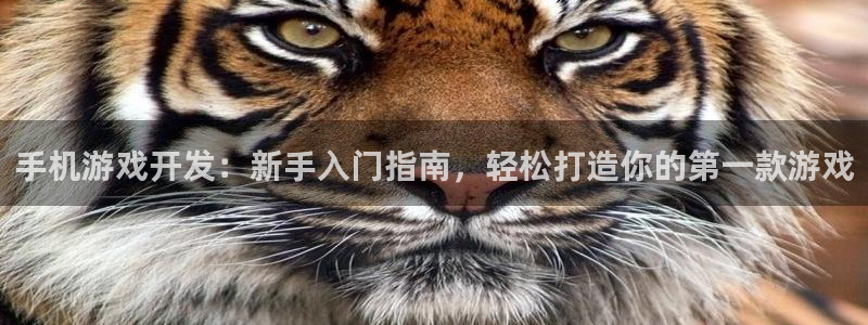 沐鸣娱乐注册平台怎么样：手机游戏开发：新