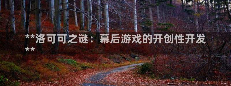 沐鸣平台趟址p33833：**洛可可之谜