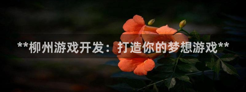 沐鸣娱乐官方网站下载：**柳州游戏开发：