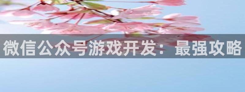 沐鸣科技有限公司电话：微信公众号游戏开发