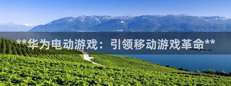 沐鸣咨询：**华为电动游戏：引领移动游戏
