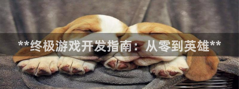 沐鸣平台招商：**终极游戏开发指南：从零