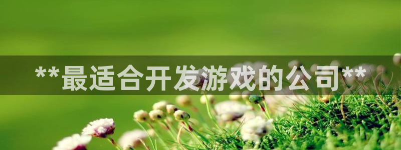 沐鸣娱乐代理是谁：**最适合开发游戏的公