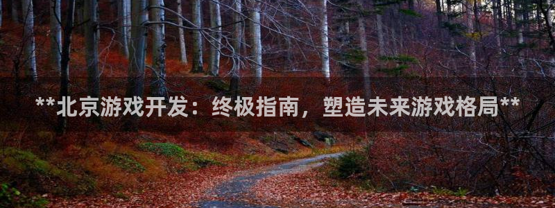 沐鸣平台app下载：**北京游戏开发：终