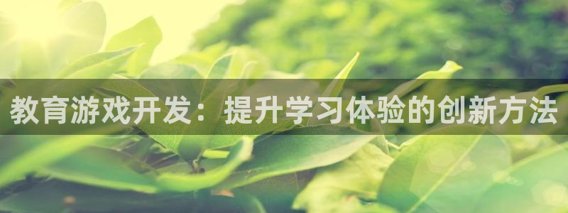 沐鸣娱乐招商：教育游戏开发：提升学习体验
