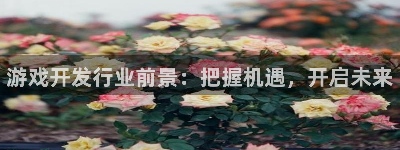 沐鸣注册登录：游戏开发行业前景：把握机遇
